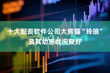 十大配资软件公司大熊猫“玲琅”及其幼崽状况良好