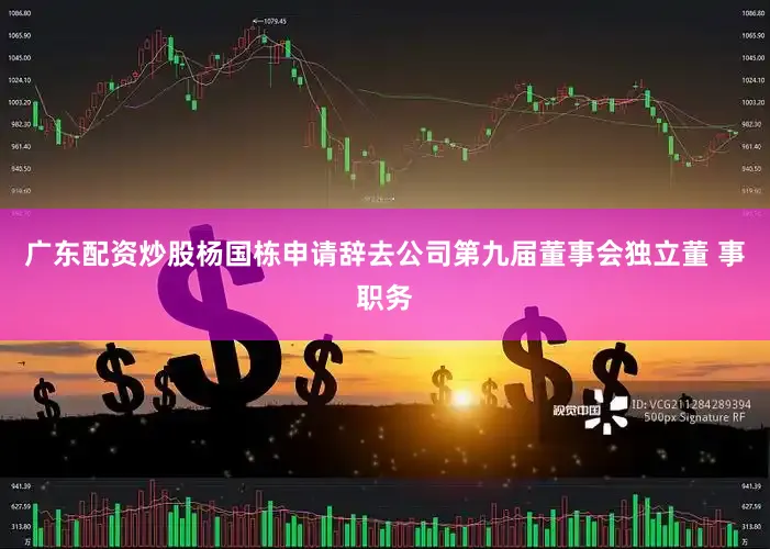 广东配资炒股杨国栋申请辞去公司第九届董事会独立董 事职务
