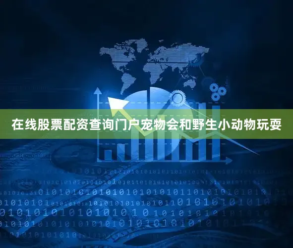 在线股票配资查询门户宠物会和野生小动物玩耍