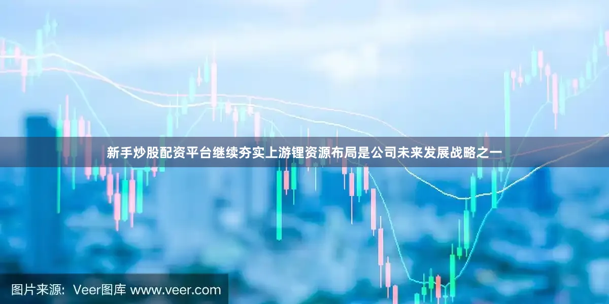 新手炒股配资平台继续夯实上游锂资源布局是公司未来发展战略之一