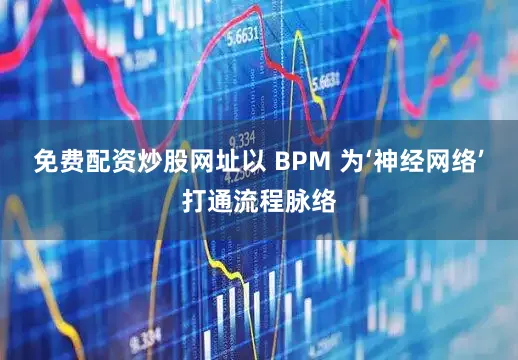 免费配资炒股网址以 BPM 为‘神经网络’打通流程脉络