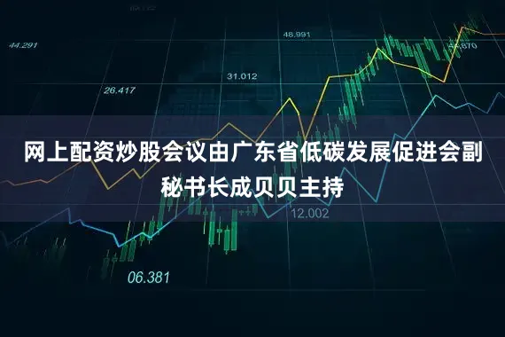 网上配资炒股会议由广东省低碳发展促进会副秘书长成贝贝主持