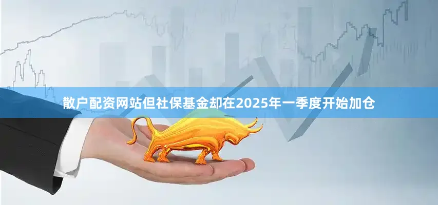 散户配资网站但社保基金却在2025年一季度开始加仓