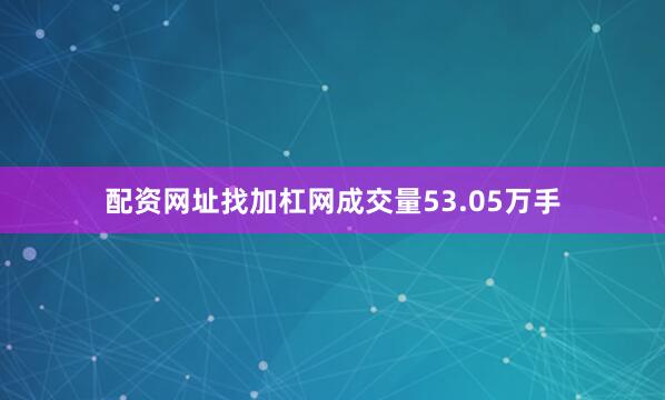 配资网址找加杠网成交量53.05万手