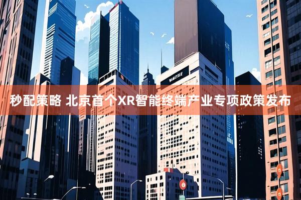 秒配策略 北京首个XR智能终端产业专项政策发布